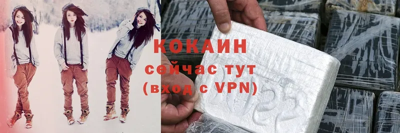 где можно купить   Истра  Cocaine Эквадор 