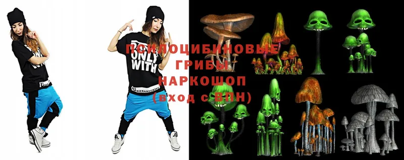 где можно купить наркотик  Истра  kraken   Псилоцибиновые грибы MAGIC MUSHROOMS 